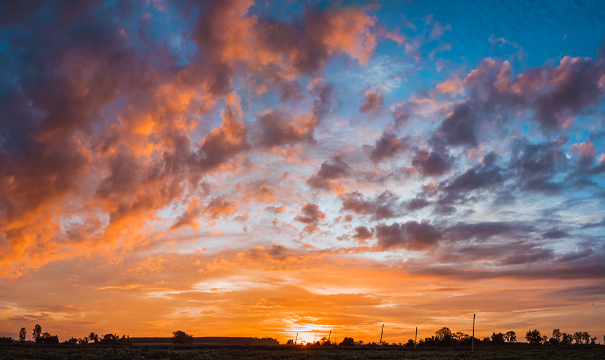 Operational Efficiency